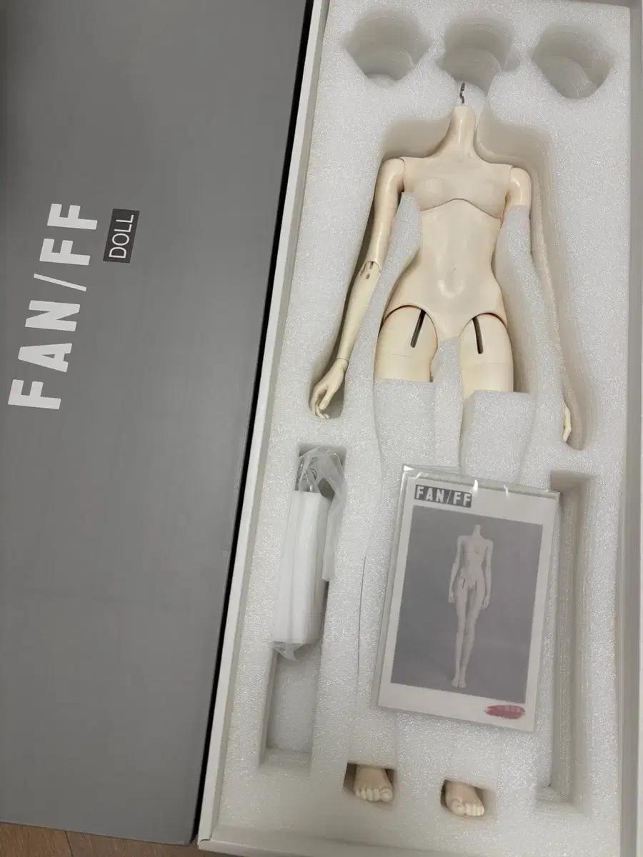 판프fanff 모델체 2.0 미백 62cm 바디
