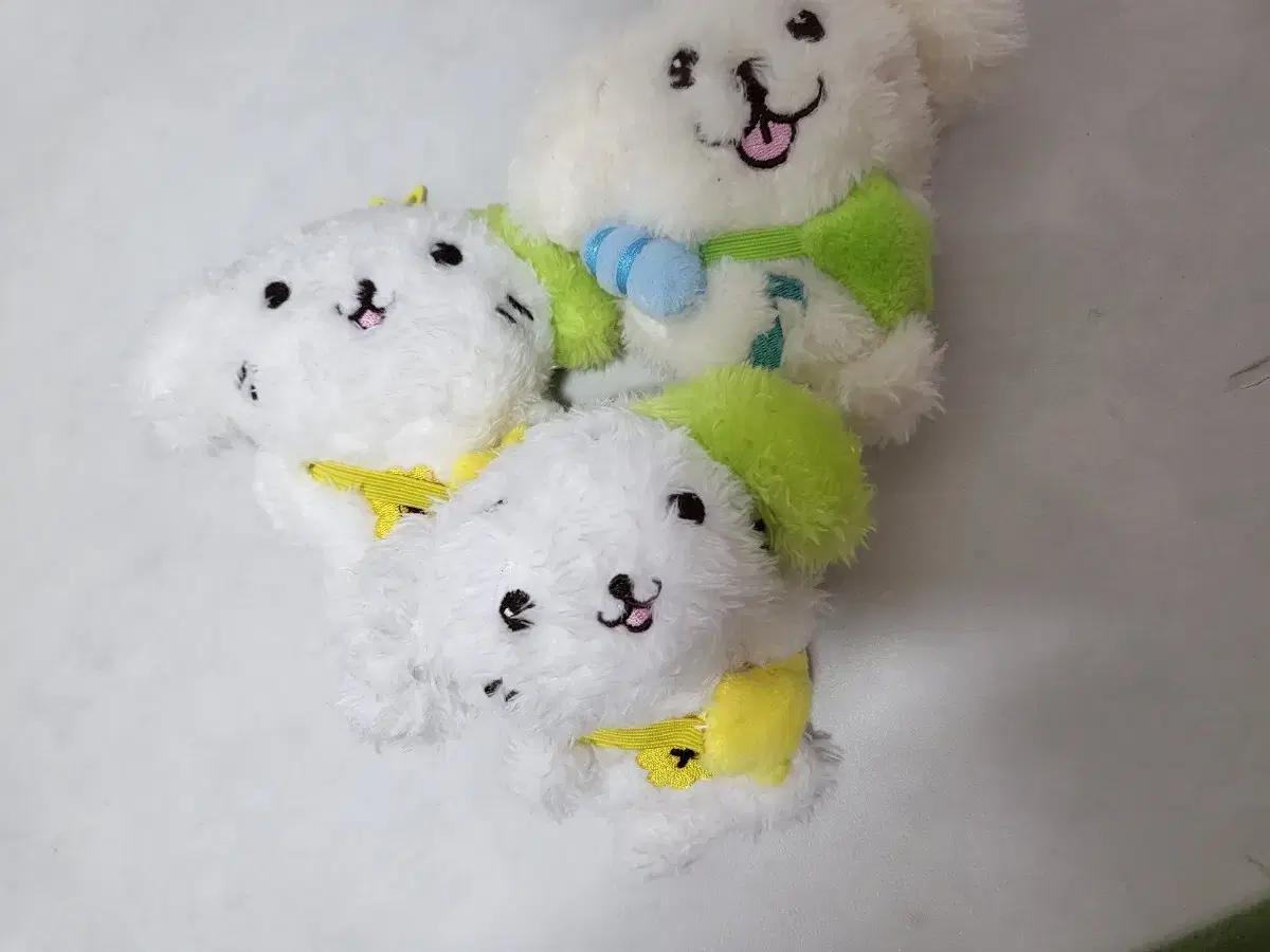 엔시티 위시 짭 위시돌