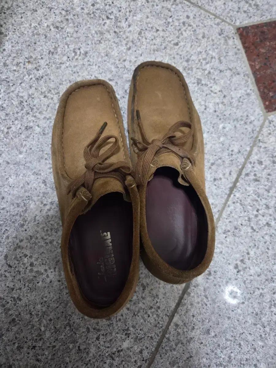 클락스 왈라비 260