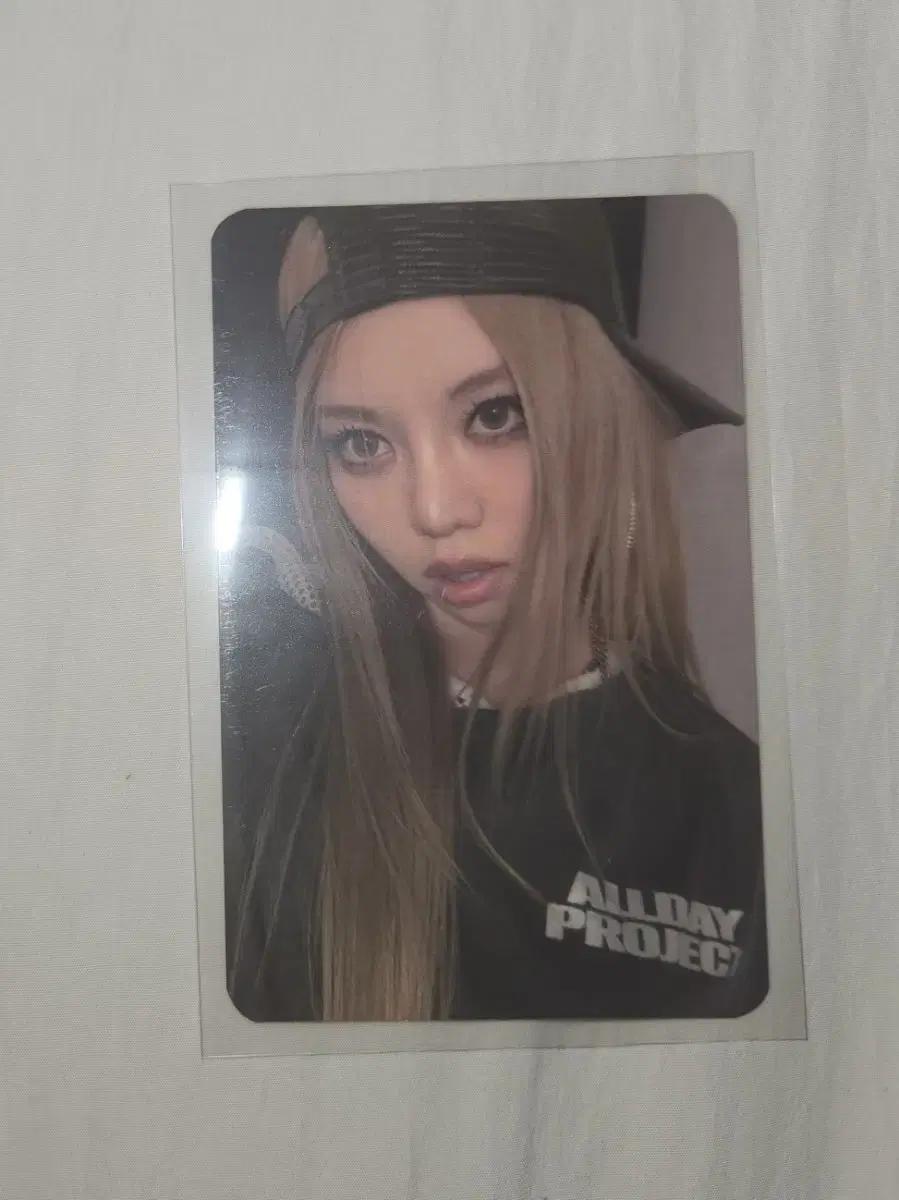 탈덕 처분)올데프 베일리 팝업 포카 양도