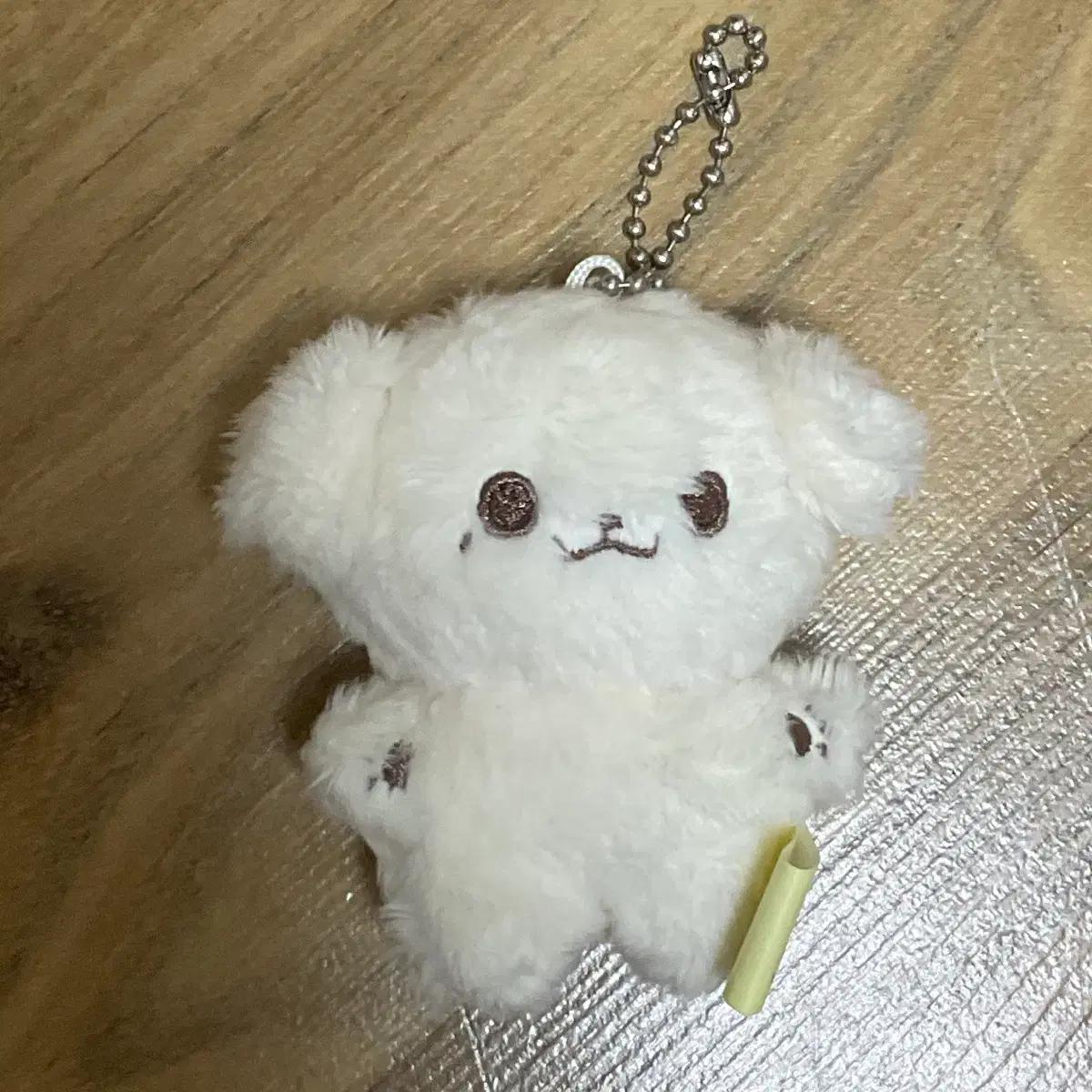 베베쩬 새상품 엔시티 드림 이제노 인형