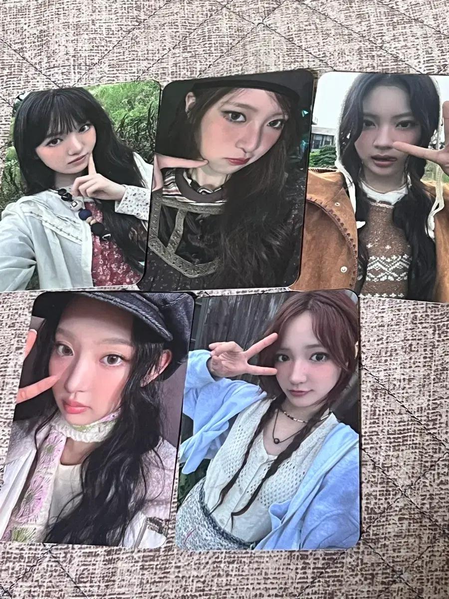 키키 써스데이아일랜드 포카