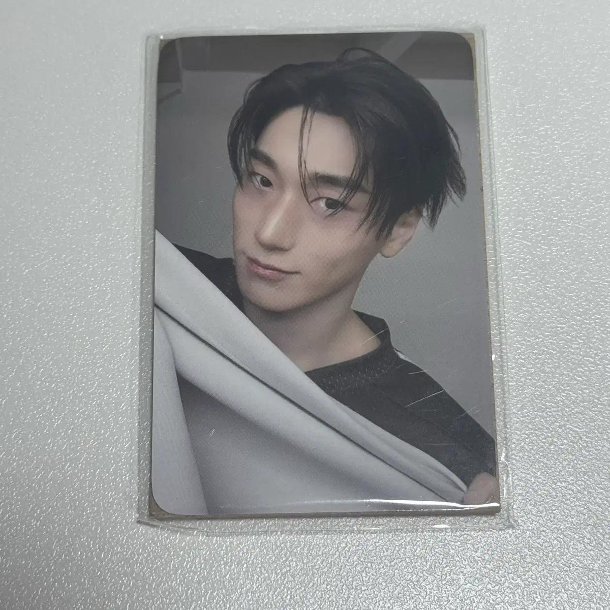 에이티즈 애니티즈 타이니 인형키링 산 포카