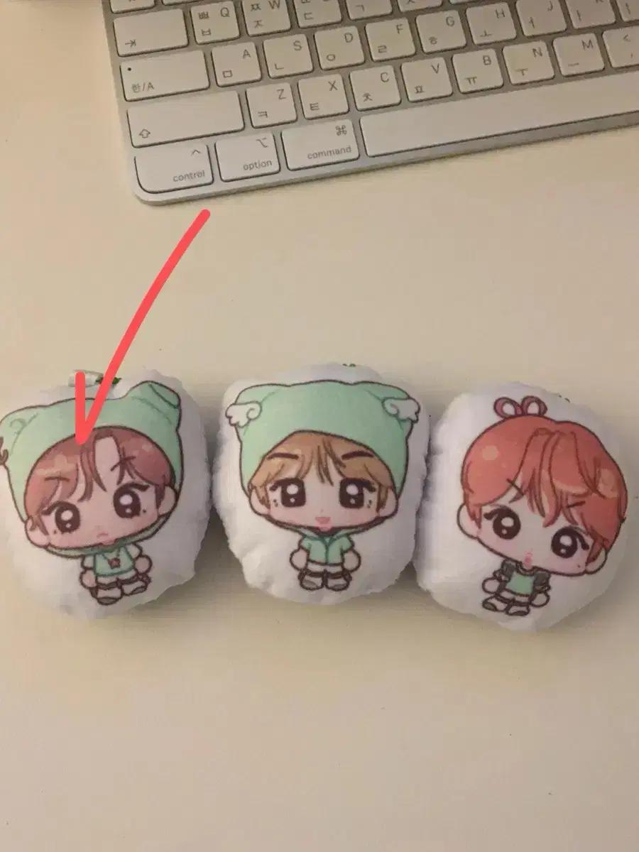 구해요/ 엔시티위시 라무네님 아잉 쿠션키링 리쿠 분철 오투럽 생카 럭드