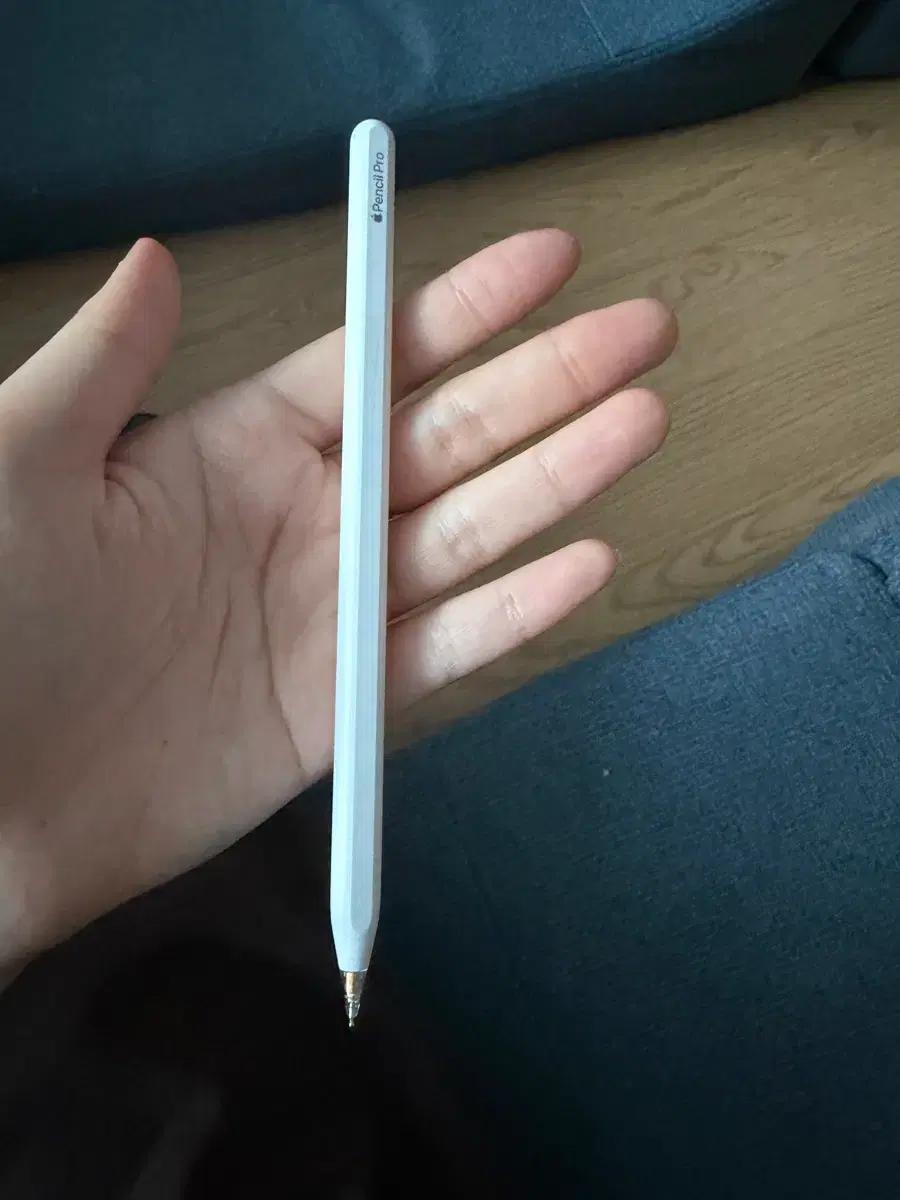 애플펜슬 프로
