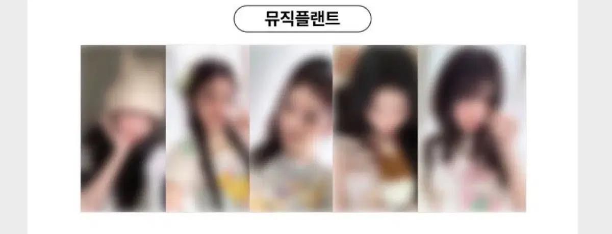 아일릿 마밀라피나타파이 뮤직플랜트 럭드 분철