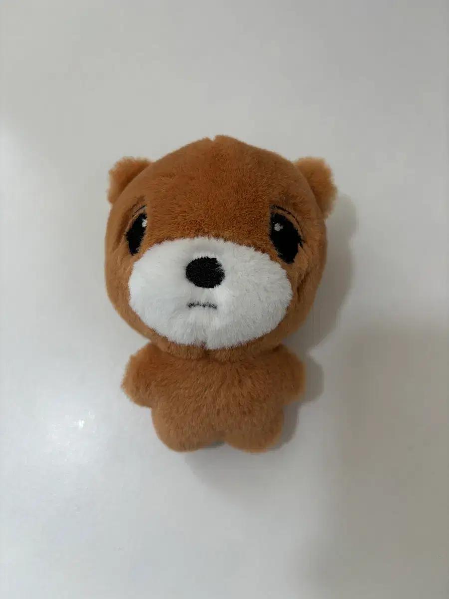 엔시티드림 127 해찬 인형 동배
