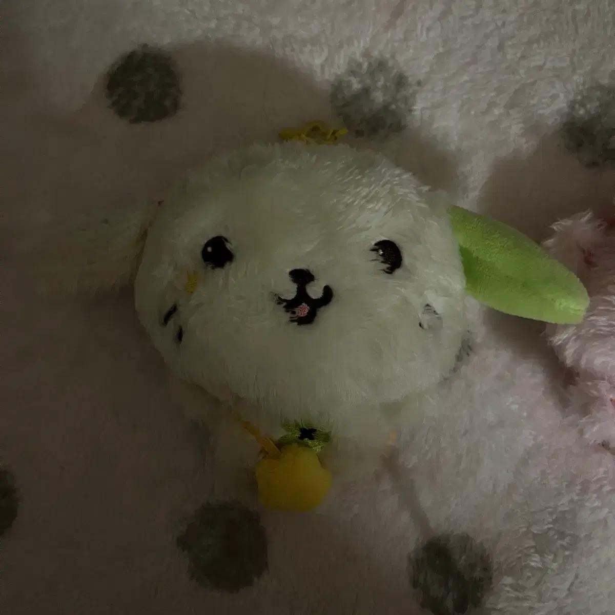 엔시티위시 위시돌 컬러돌 룐룐이 쿠리 시오닝 양도 시온리쿠유우시재희료사쿠