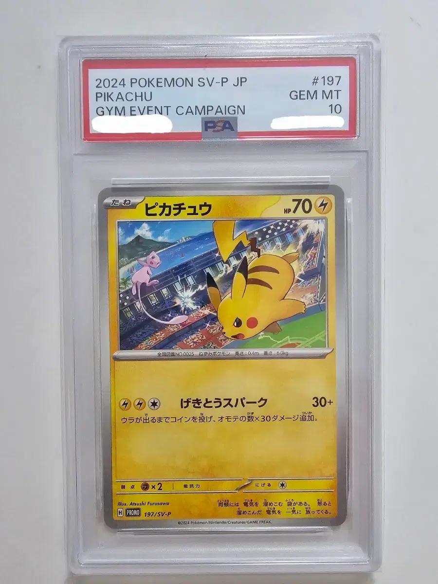 [포켓몬카드] 2024 짐프로모 피카츄&뮤 PSA10 (일판)