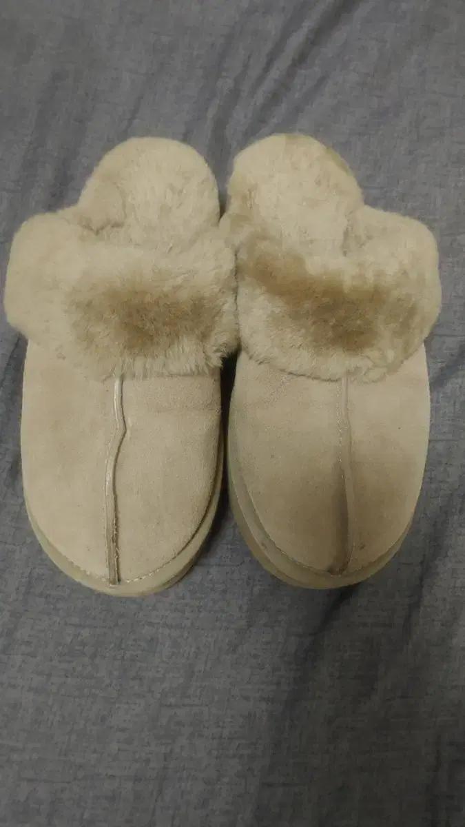 ugg 슬리퍼 250