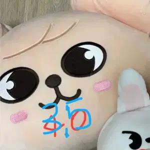 스트레이키즈 스키즈 스키주 퍼핌