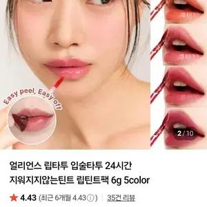 얼리언스 > 수채화 립타투 윈터플럼
