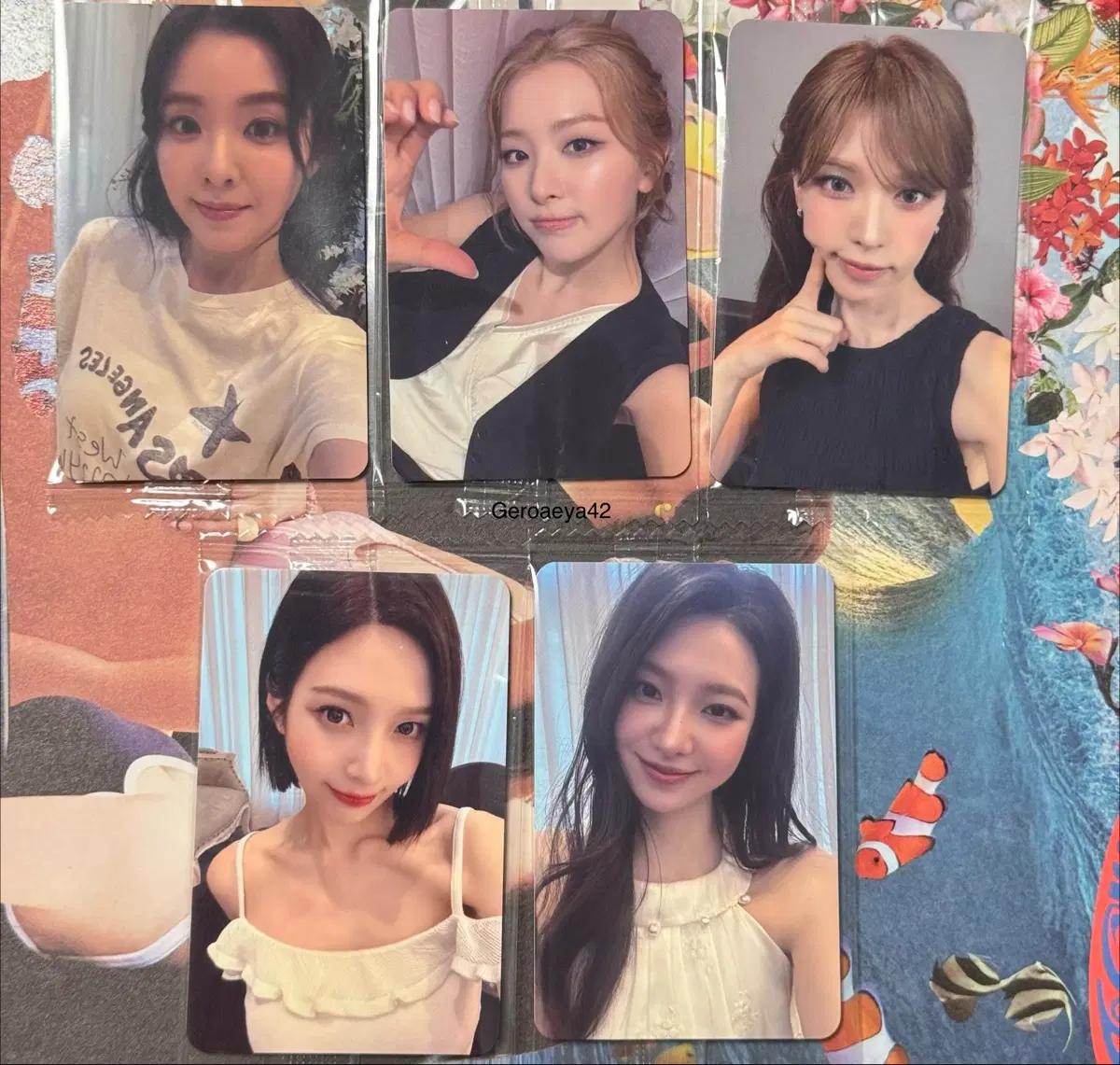 Red Velvet 레드벨벳 Surfin' Boy 케타포 대면팬싸 포카