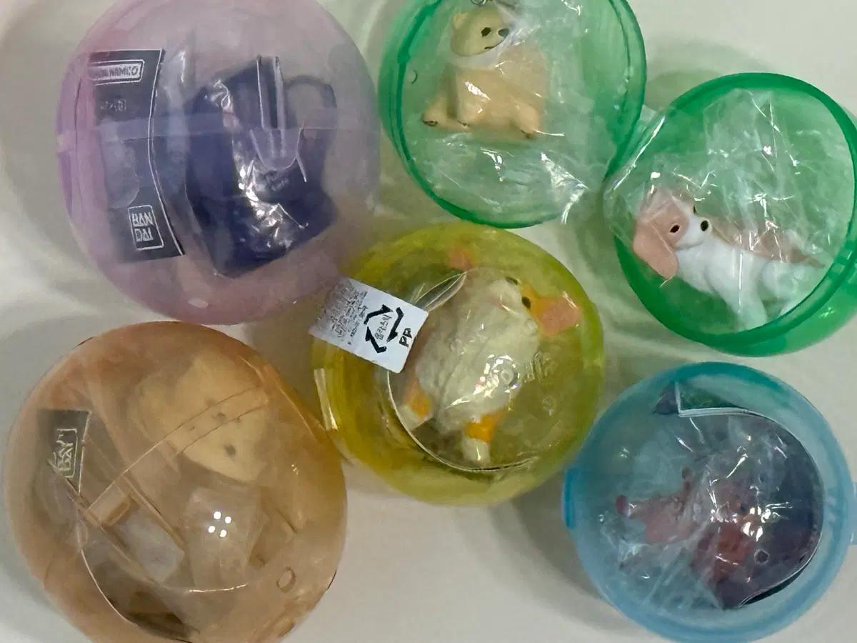 (6개일괄)동물 라떼아트 가챠 포메라니안 물범 해삐누 행복한 뒤돌아보는 강아지 가챠 메지루시 웰시코기 닥스훈트 비글