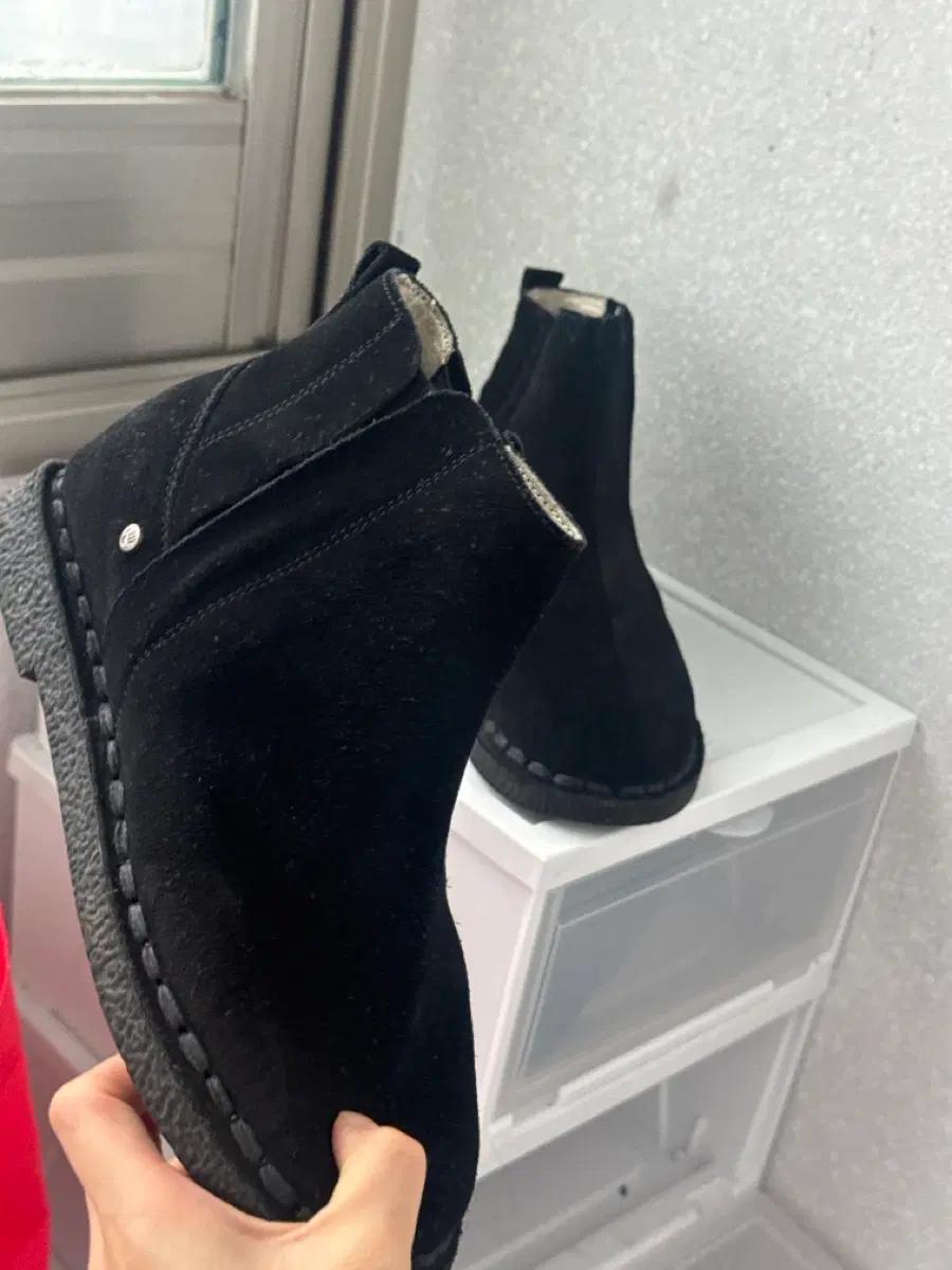 베어파우