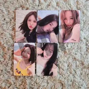 레드벨벳 Red Velvet 포카 poca