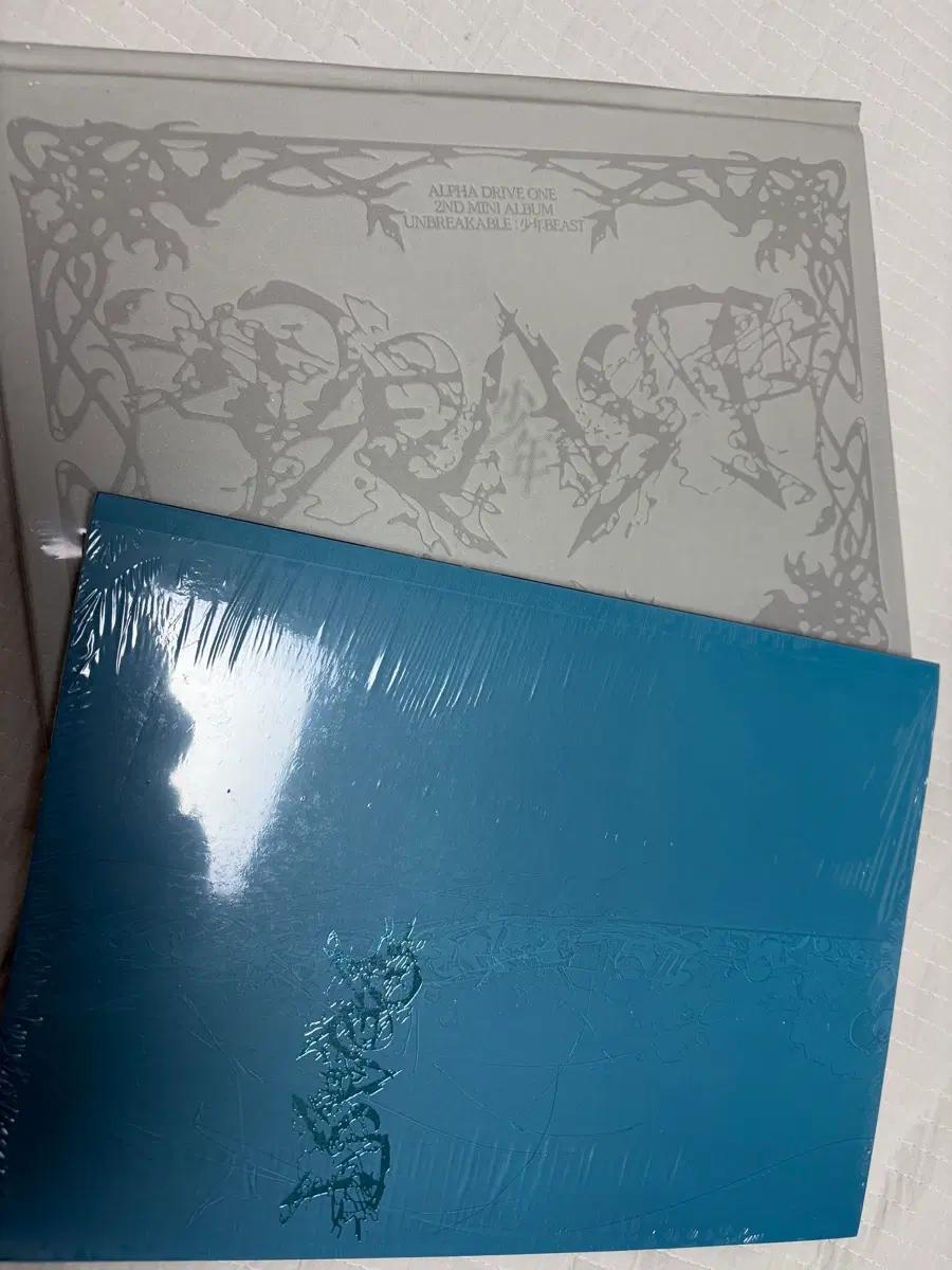 알디원 알파드라이브원 미개봉 앨범 미니 2집 fragile beast cementic nest