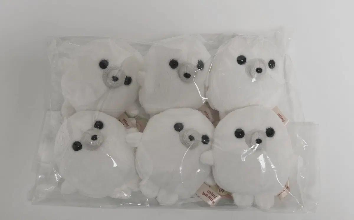 미니빈즈 minibeans 물개 인형