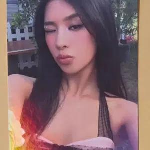 KATSEYE 캣츠아이 소피아 WILD yes24 특전 포토카드