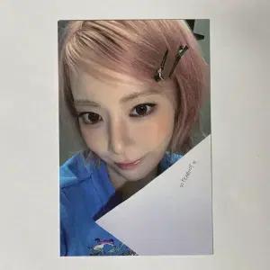 르세라핌 사쿠라 메마나 공방 포카 lesserafim sakura made my night
