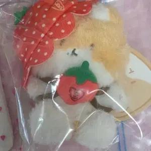 일괄) 딸기 터래기 이모자좋은분 제발잃어버리지마키링 찹쌀이 포카홀더 과자파티 늑대와미녀노트 sm공식굿즈 엑소돌인형