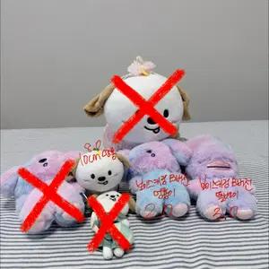 라이즈 riize 인형 멍룡 똘병 굿즈 판매