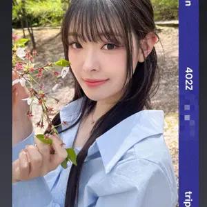 트리플에스 린 프리미어 오브젝트 PCO AA402Z