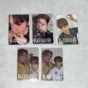 Xlov 엑스러브 하루 우무티 루이 현 포카 미공포 유닛