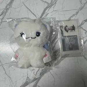 투어스 신유 인형 시뉴삐