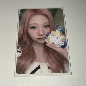하츠투하츠 스텔라 포카 스타리버