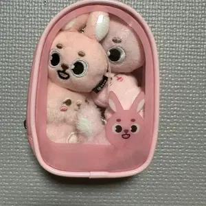 데이식스 필끼