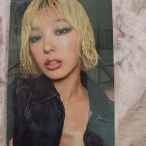 캣츠아이 wild 위버스팝업 럭드 포토카드 윤채 ver