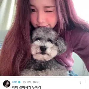 구함) 하투하 유하 에이나 포카 포토카드구합니다! 하츠투하츠