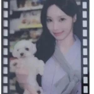 원이별이 리센느 포토카드 포카 판매