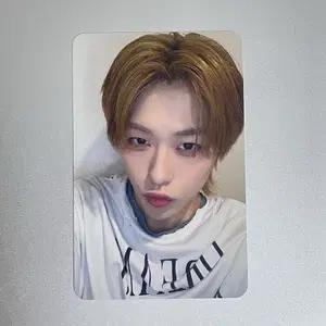 Ko1keyz 코이키즈 토와 공방 포토카드 양도