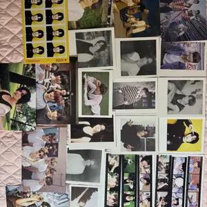 라이즈 탈덕 처분