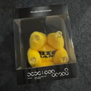 미개봉 빅뱅 싱가포르 판매하는 플러시 키링 열쇠고리 20주년 MD 굿즈 BIGBANG plush keychain