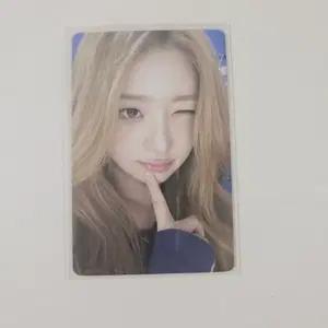 아이브 레이 징동 리바이브 포카