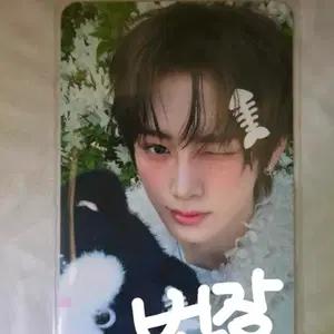 알디원 안신 고양이생선