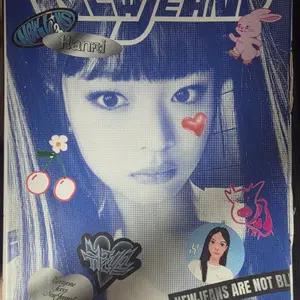 뉴진스 블루북 하니