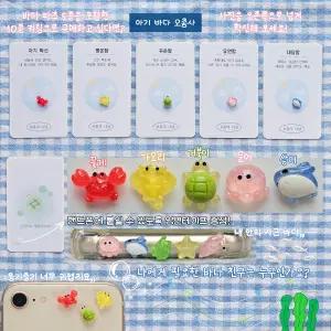 아기 바다 오총사 (행운 거북이, 행운의 거북이, 폰꾸)