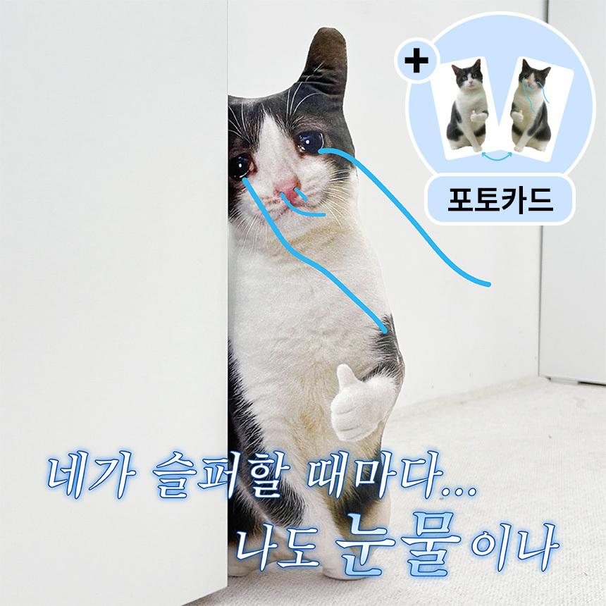 반전 따봉냥 인형 쿠션 귀여운 응원 여자선물 직장인 웃긴 자취 쓸모없는 쓸데없는 신박한 선물