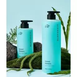 매장정품 SCENEARTH 헤씨드 감태탈모샴푸 1000ml + 500ml