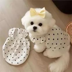 반려동물 프릴 강아지 여름 러블리 귀여운 데일리 소형견 땡땡이
