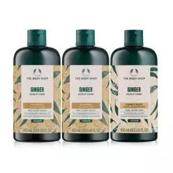 매장정품 THE BODY SHOP 진저 스캘프 케어 샴푸컨디셔너 400ML 세트 (샴푸 2개+컨디셔너1개) (888161)