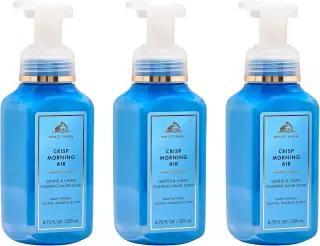Bath Body Works 포밍 핸드 솝, 크리스프 모닝 에어, 3팩 446782
