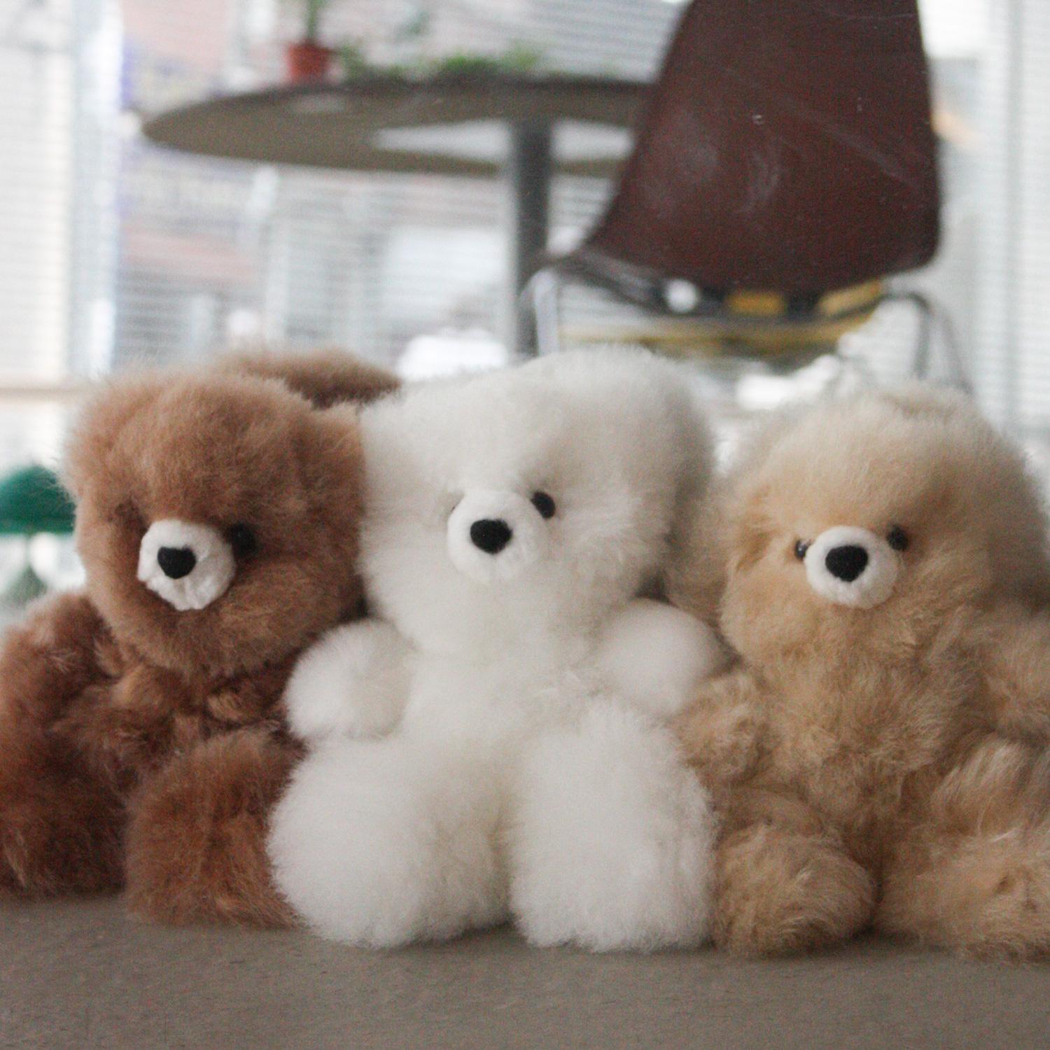 natural teddy bear S size
