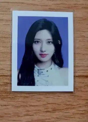 아이브 가을 증사 증명사진