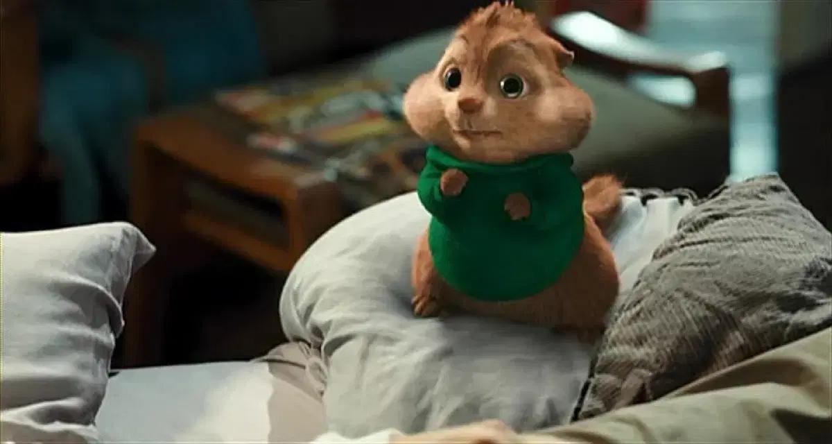 앨빈과 슈퍼밴드 테오도르 의상 대여 / 졸업사진 / 코스튬