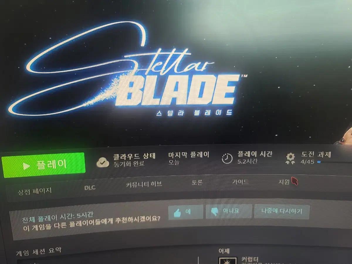 스텔라블레이드 니케코드팝니다